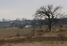 Conservation efforts bringing down nutrient pollution levels