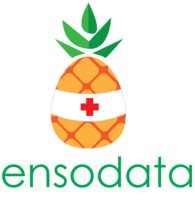 EnsoData logo 1