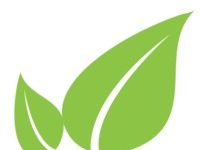 Seedlinked planting seeds of market change