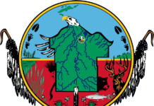 Bad River Band filing suit against Enbridge over pipeline