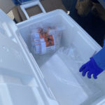 200902 COVID 19 Specimen Bags On Ice