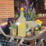 Buck And Honeys Cocktail