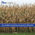 20230620 171922 0000