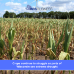 20230711 164542 0000