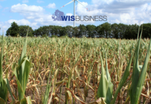 Crops continue to struggle as parts of Wisconsin see extreme drought