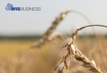 Drought conditions again worsen, impacting crop quality