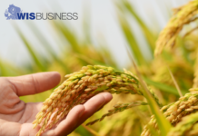 State sees substantial improvement in drought conditions as harvesting continues