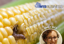 UW researcher develops ‘insect eavesdropper’ to help protect crops