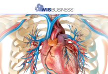 UW research uncovers protein that could regenerate damaged heart tissue