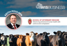 UW expert urges dairy operators to watch out for bird flu signs in cattle