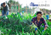 WFBF seeking more flexibility in migrant worker programs, board member says