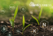 UW-Madison scientists testing new soil nutrient sensor this summer