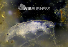 Researchers leveraging unique animal quirk to improve imaging technique