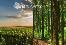 GOP bill would bar foreign adversaries from acquiring ag, forestry land in WI