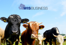 Evers accuses Trump administration of ‘betraying’ Wisconsin farmers