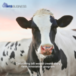 Dairy Farm 060225