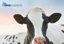 Circulating bill would create dairy farm innovation program