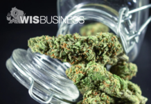 Experts argue medical marijuana bill lacks regulations but advocates say it would be a relief