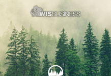 Northwoods Policy Network launches to promote state’s rural northern region