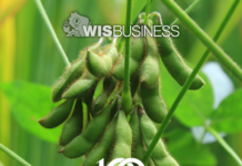 WARF touting modified soybean plant as top licensing prospect