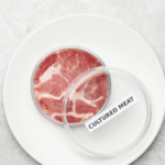 Lab Grown Meat Image