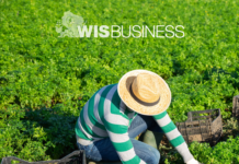 Migrant ag workers face steep wage cuts under federal program changes