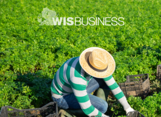 Migrant ag workers face steep wage cuts under federal program changes