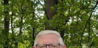 WisBusiness: the Podcast with Henry Schienebeck, Great Lakes Timber Professionals Association