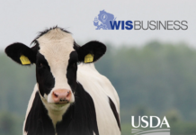 Baldwin, groups warn new federal match requirements could kill dairy farm incubators