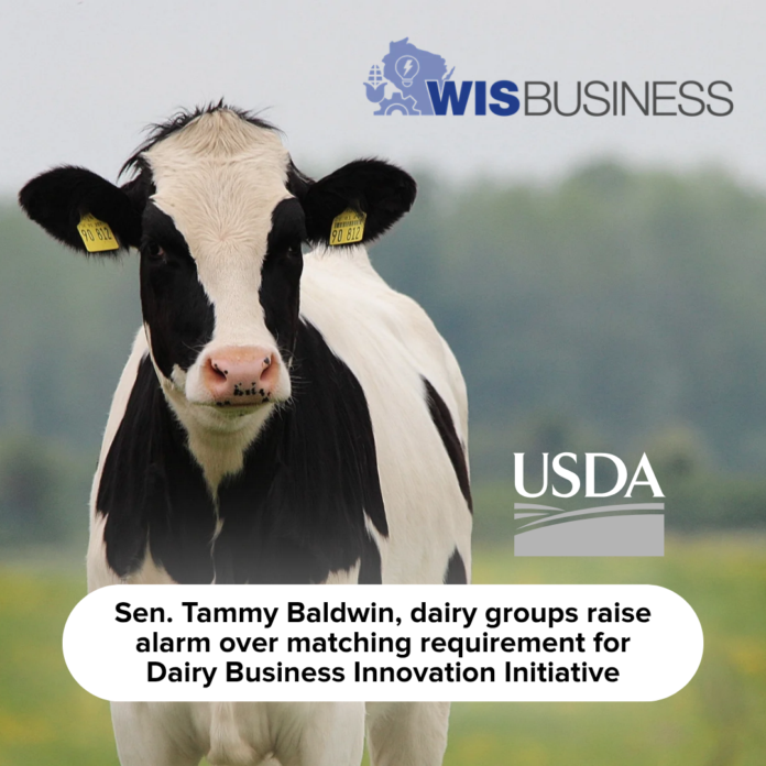 261013Dairy